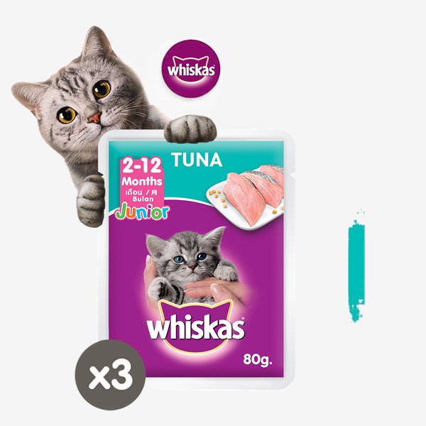 Whiskas wet outlet kitten food