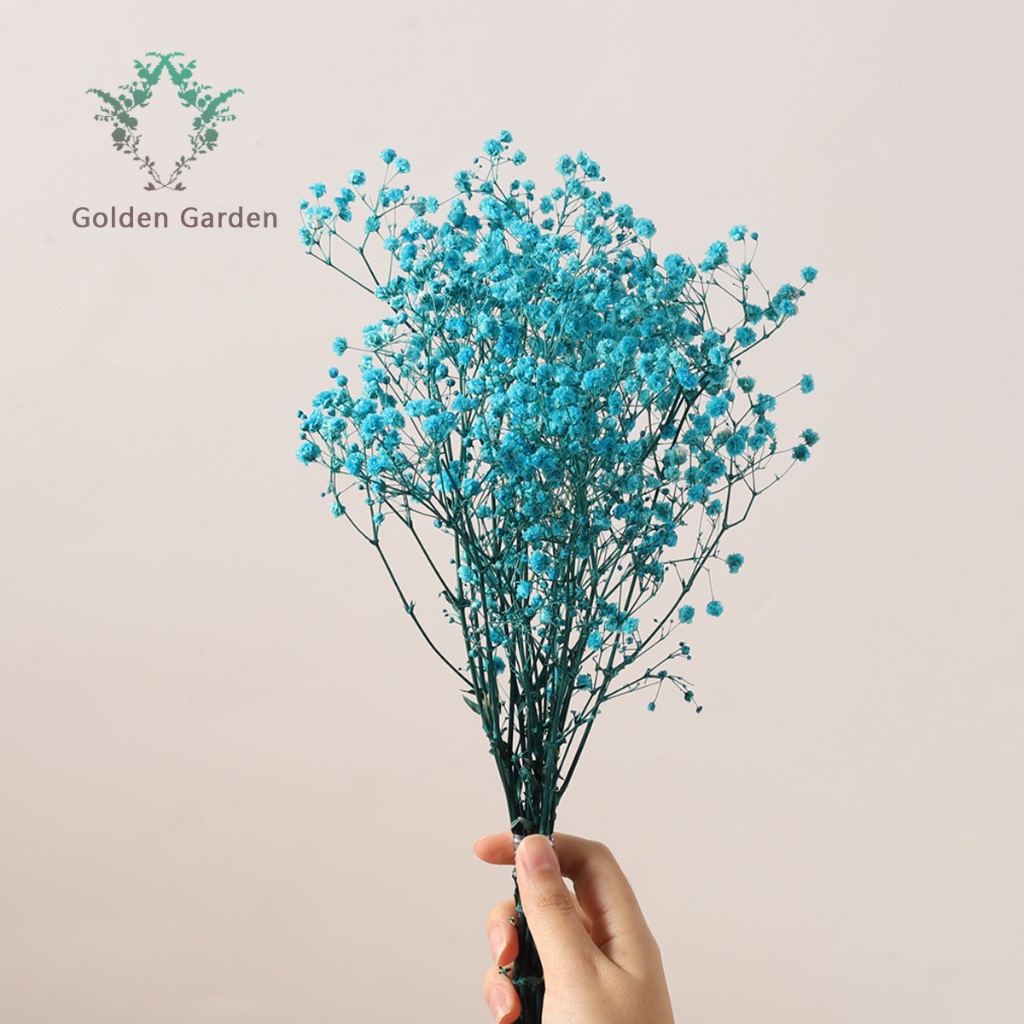 DIY Vasedried flowers bouquet dried flowers with vase Baby's breath