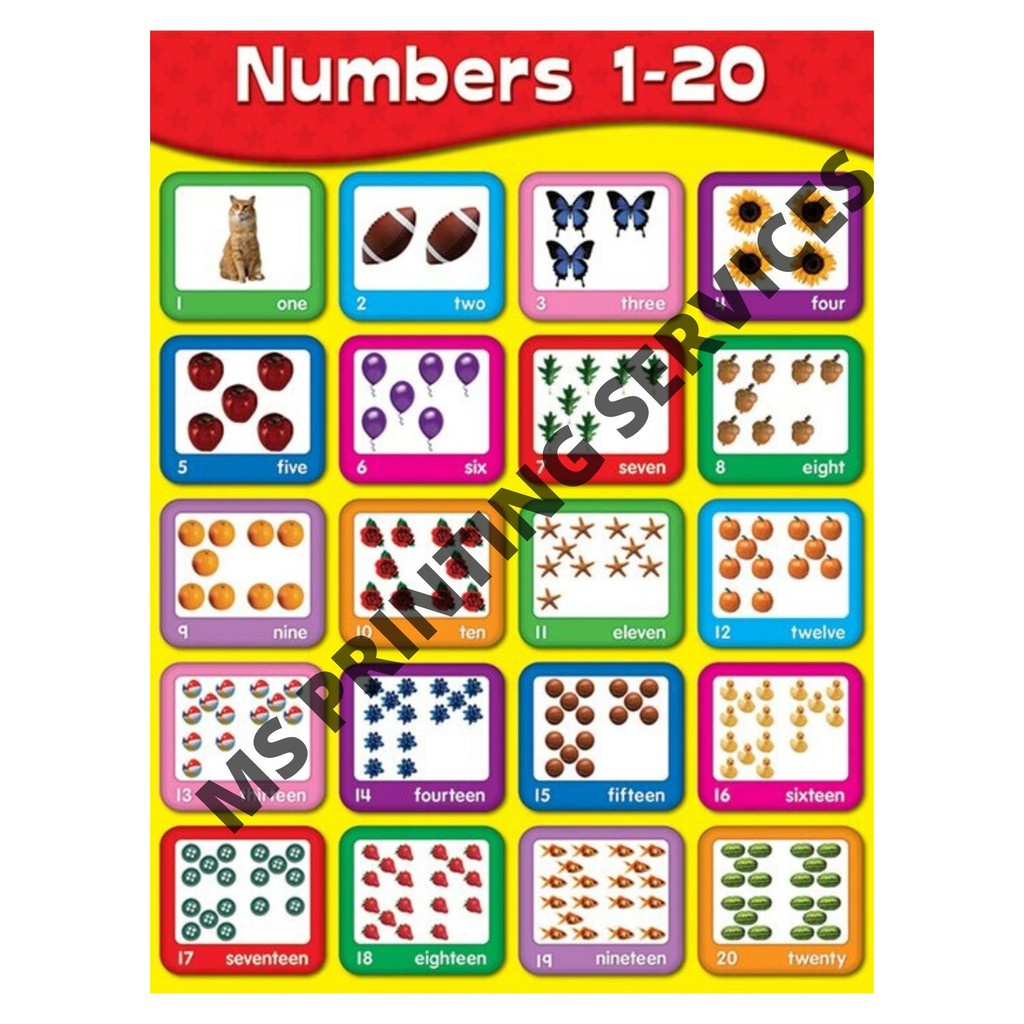 laminated-chart-numbers-1-20-with-images-shopee-philippines