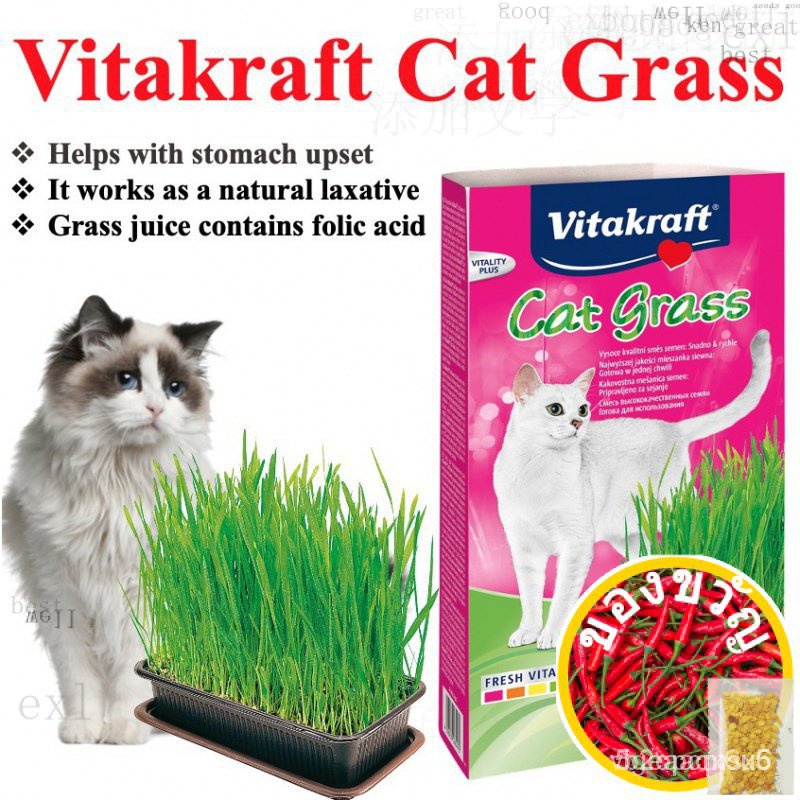 Vitakraft cat snack grow your cats organic grass/ cat seed/cat easy grow oat jojv Shopee