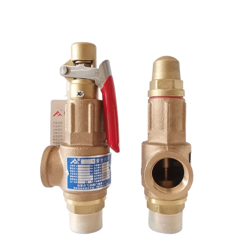 2023A28W16T full copper safety valve air compressor air storage tank