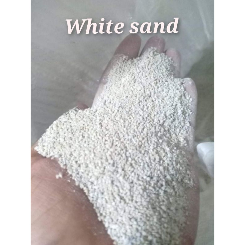 White Sand and Black sand for Aquarium 1kilo Shopee Philippines