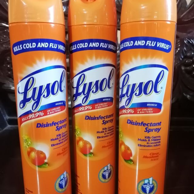 510g. LYSOL Disinfectant Spray Shopee Philippines