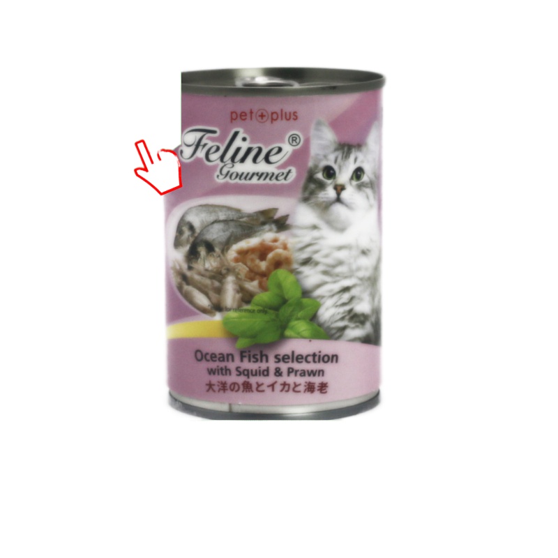 Feline Gourmet in Can Ocean Fish, Squid and Prawn 100 No Salt and
