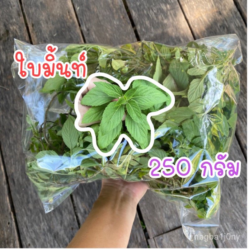 250g organic mint leaves Shopee Philippines