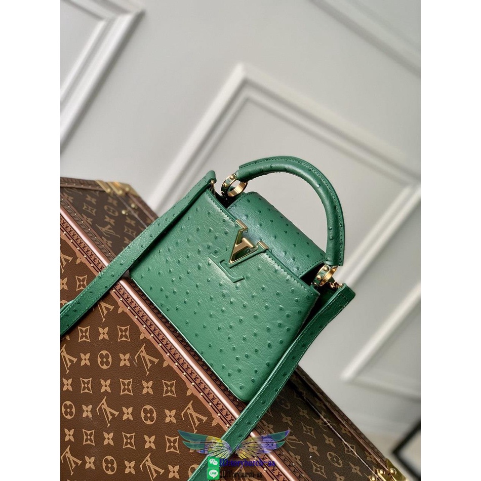 Lv capucines pm hot sale