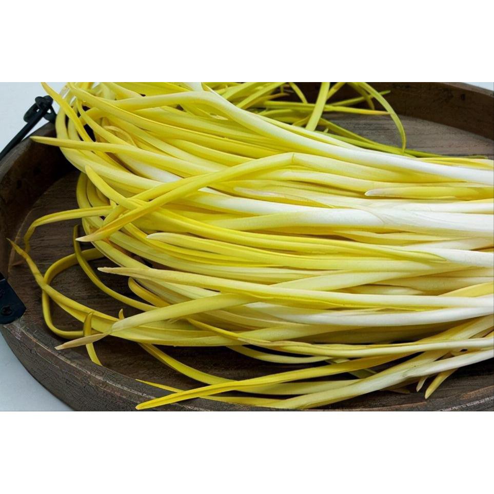 2023premium pack yellow Chinese chives Kuchay vegetable seeds 50grams