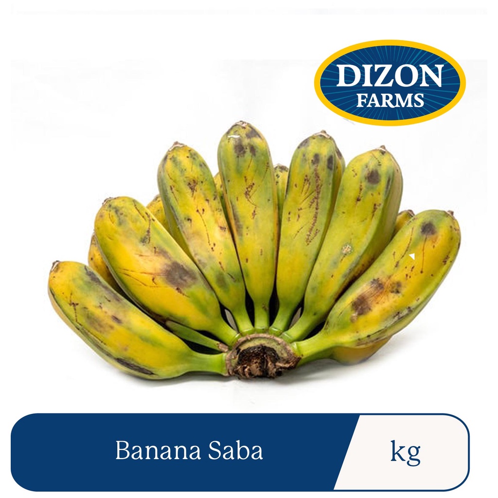 ⊙Dizon Farms Banana Saba / kg Shopee Philippines