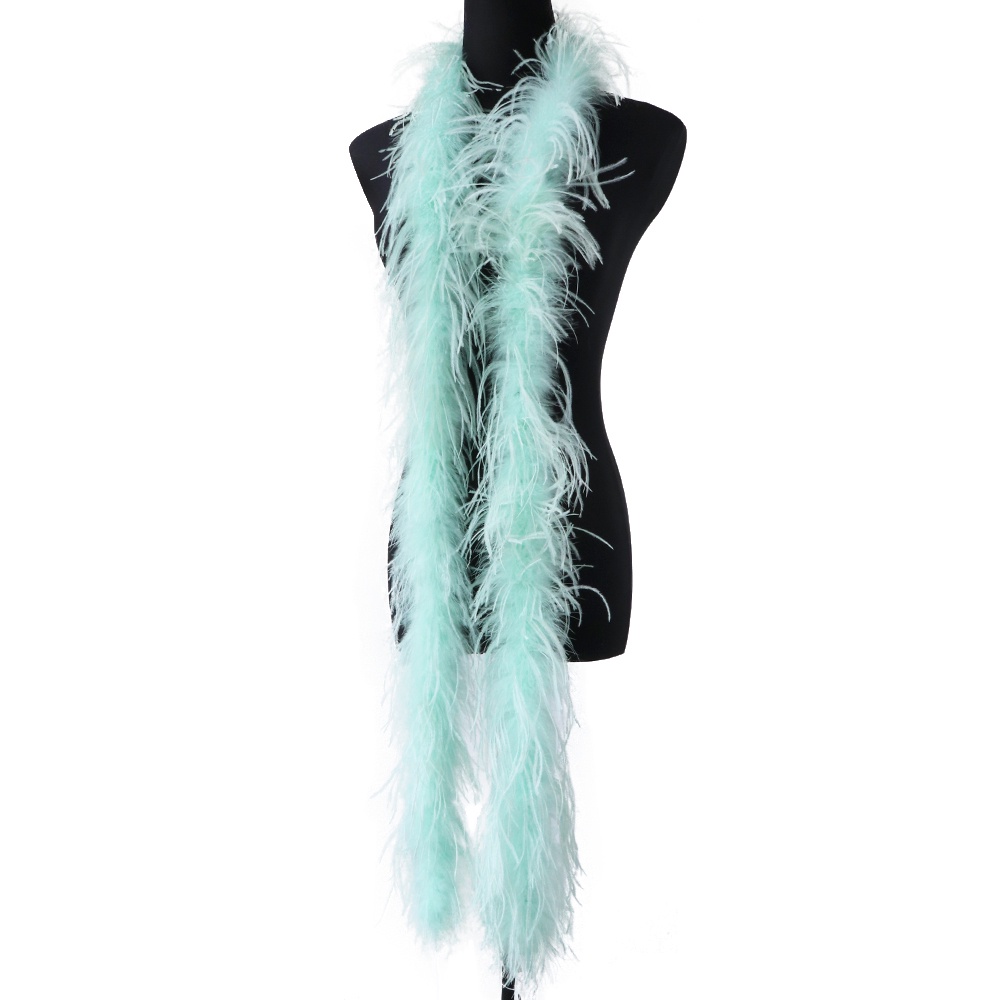 IOIA 2M Ostrich Feathers Boa for Wedding Dress Party Decor Plumes Boas