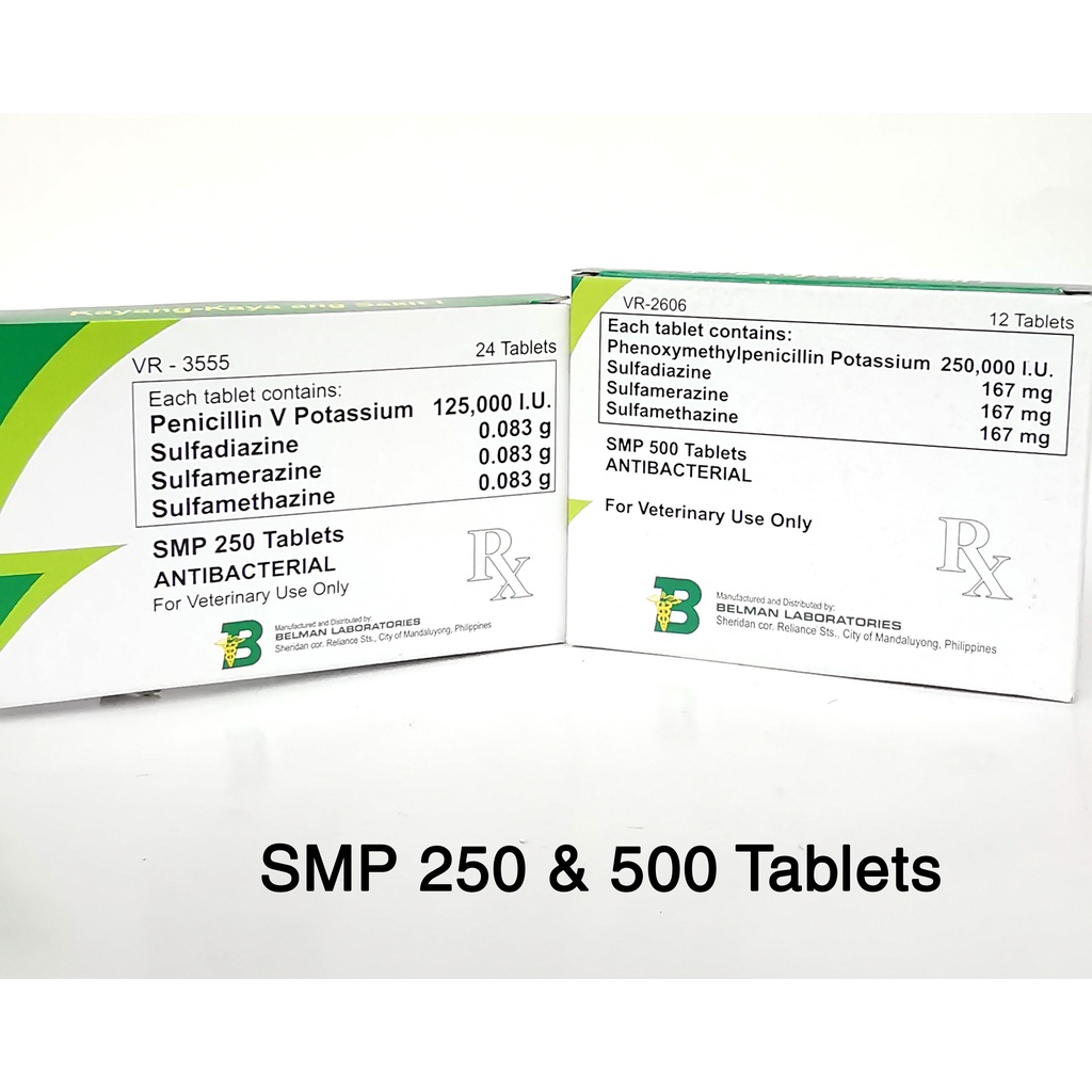 ☒SMP 500/250 tablets expires march/april 2025 (sold per box) Shopee Philippines