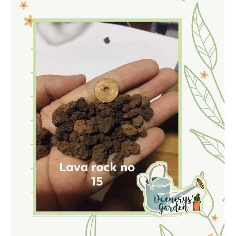 ∋LAVA ROCKS RED 5kg per pack | Shopee Philippines