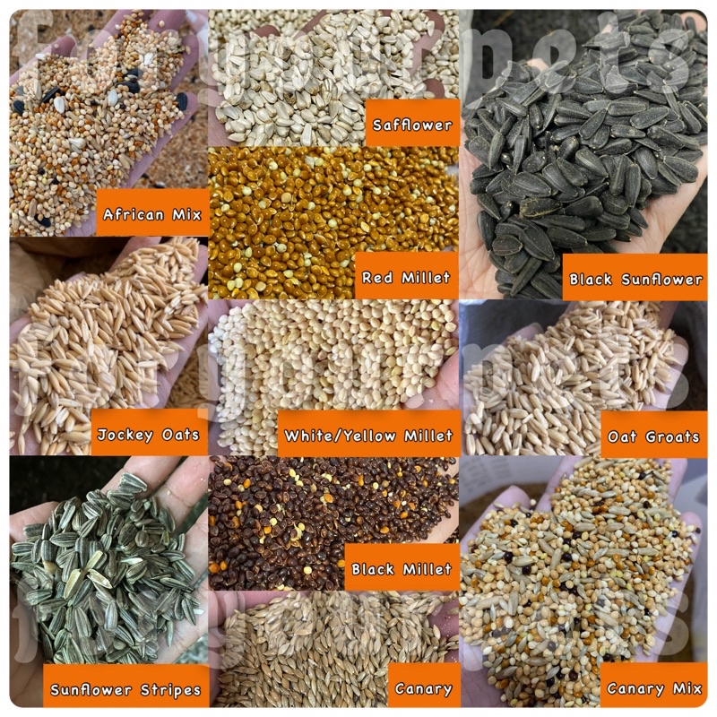 Bird Seeds African, Canary, Canary Mix, Sunflower, Safflower, Red