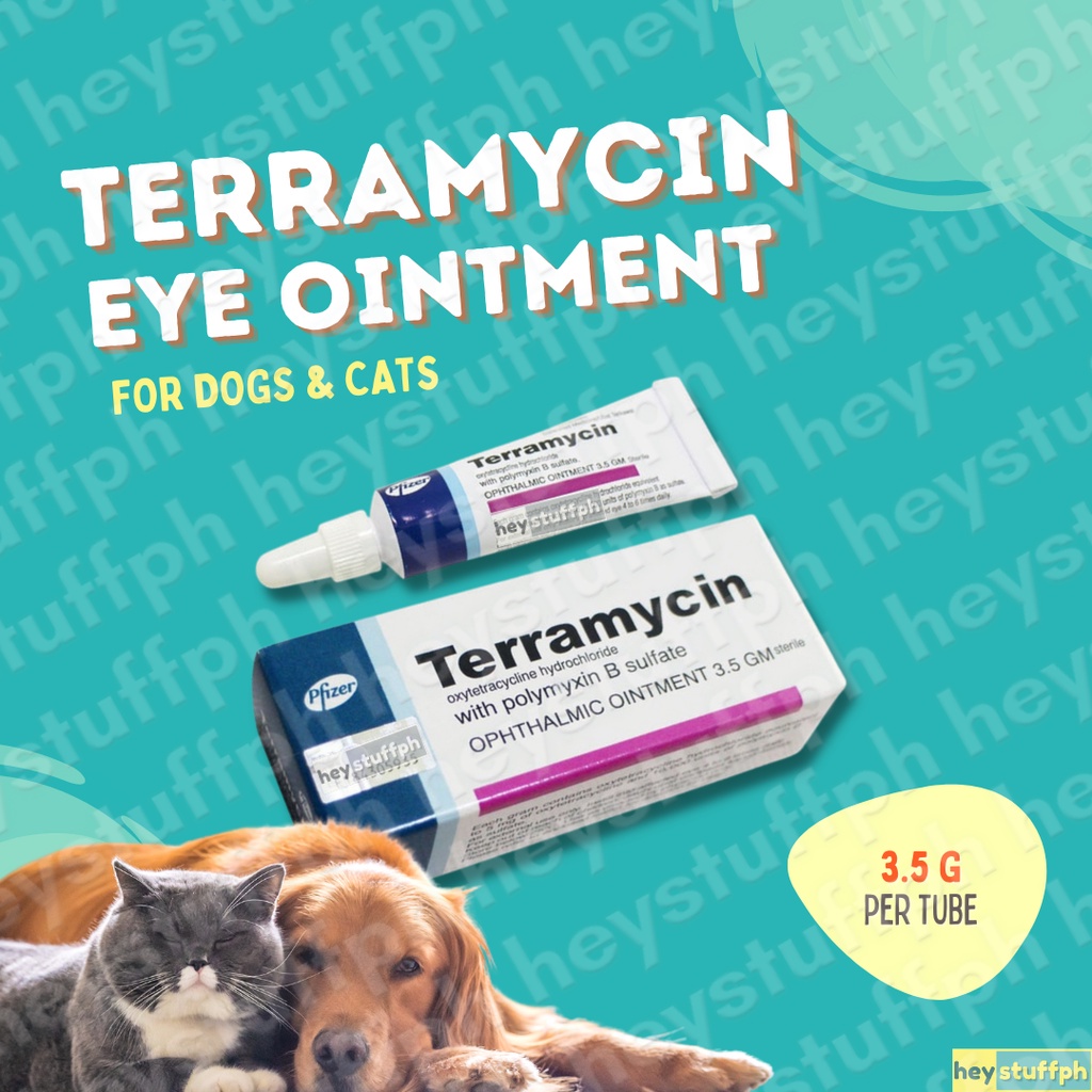 Erythromycin eye hotsell ointment for cats