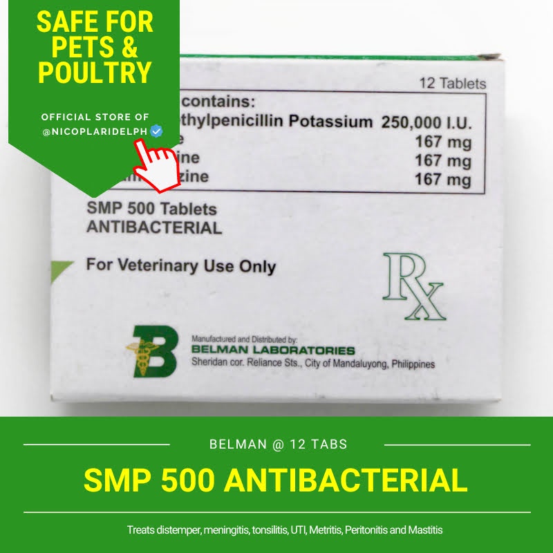 ☼♨[BOX OF 12] SMP 500 Antibacterial for Distemper, UTI and Other