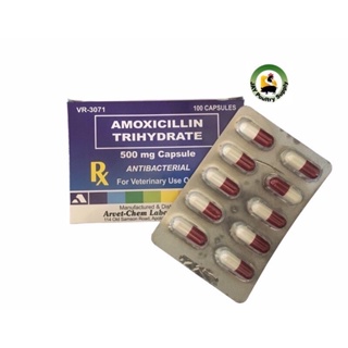 amoxicillin trihydrate 500mg