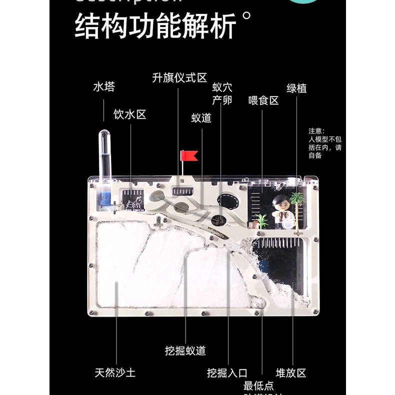 Ant Workshop Ant Castle Ecological Box Ant Village Pet Tribe Home ...