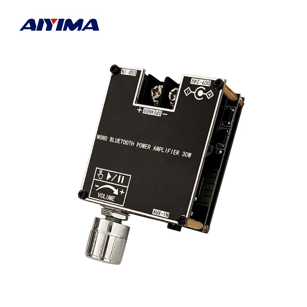 AIYIMA 30W Bluetooth Amplifier Audio Board Mono Power Amplifier Sound Amplificador Home Theater