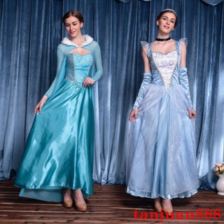  Fun Costumes Disney Cinderella Plus Size for Women, Fairytale  Blue Ball Gown Dress