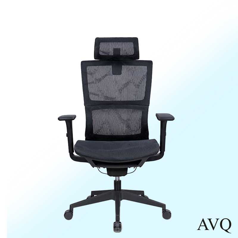 P58 Ergonomic Chair [ Study Work Desk Ergo Office chair, Adjustable
