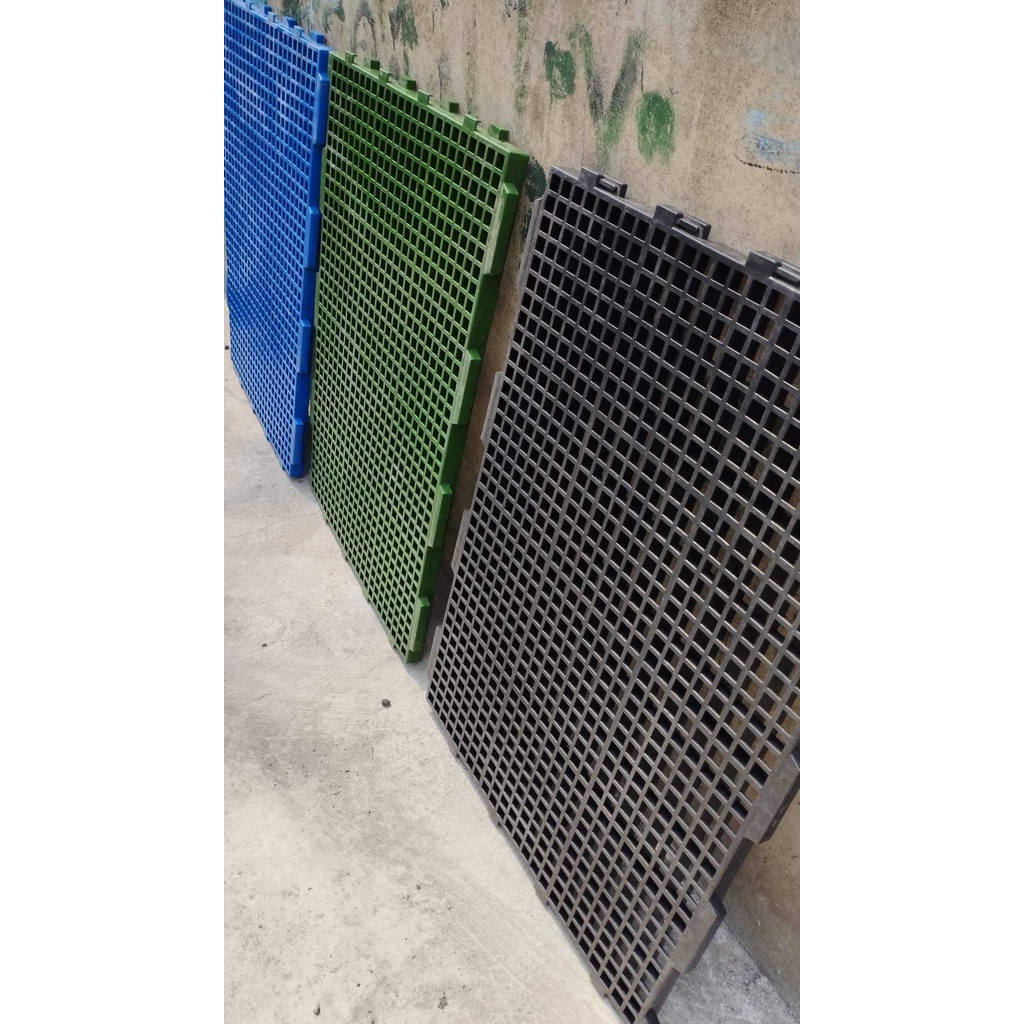 2-by-3-ft-goat-matting-green-shopee-philippines