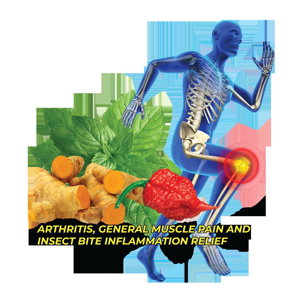 Shrimpylicious Innovatronix Capsaicin Ointment 10g Anti Arthritis Gout