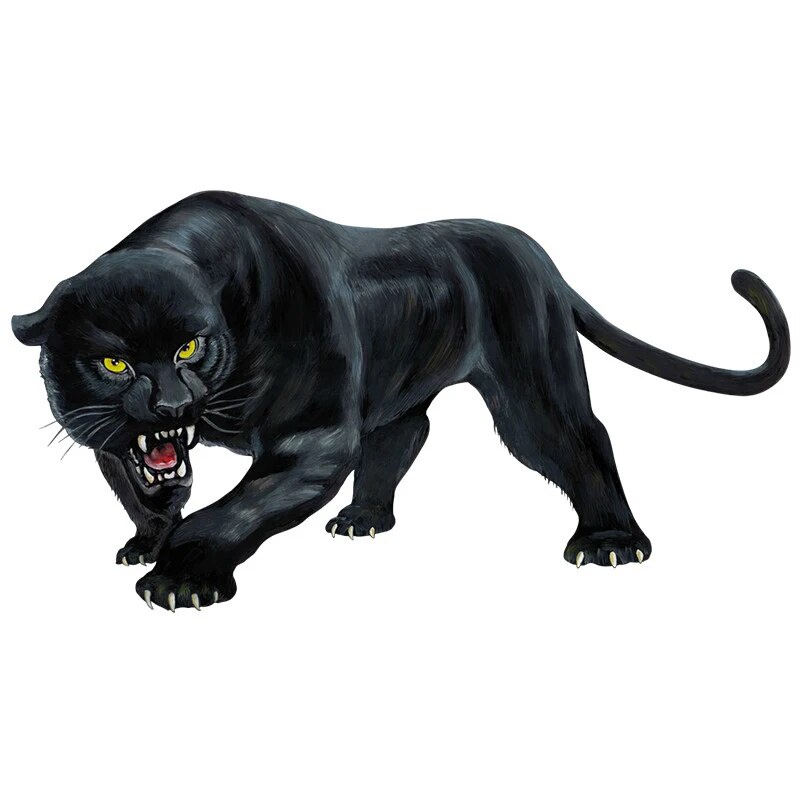 JHSG Car Sticker Sticker Paper Black Panther Roaring Car Bumper ...