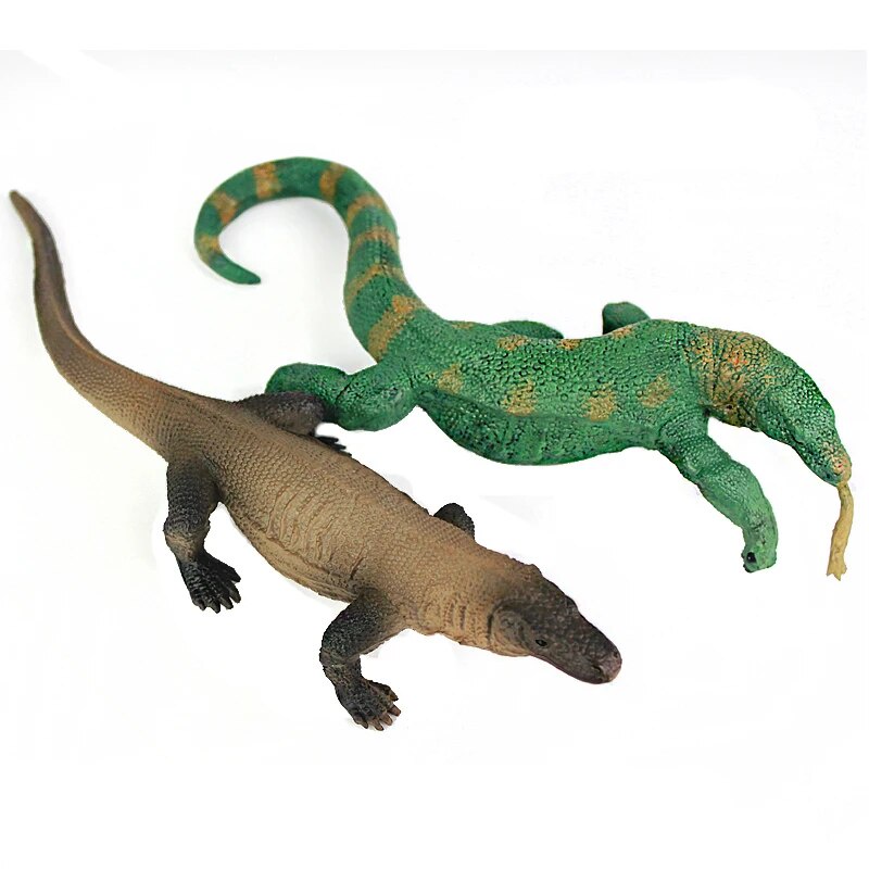 Solid Reptile Simulation Komodo Dragon Model Komodo Dragon Magic Dragon ...