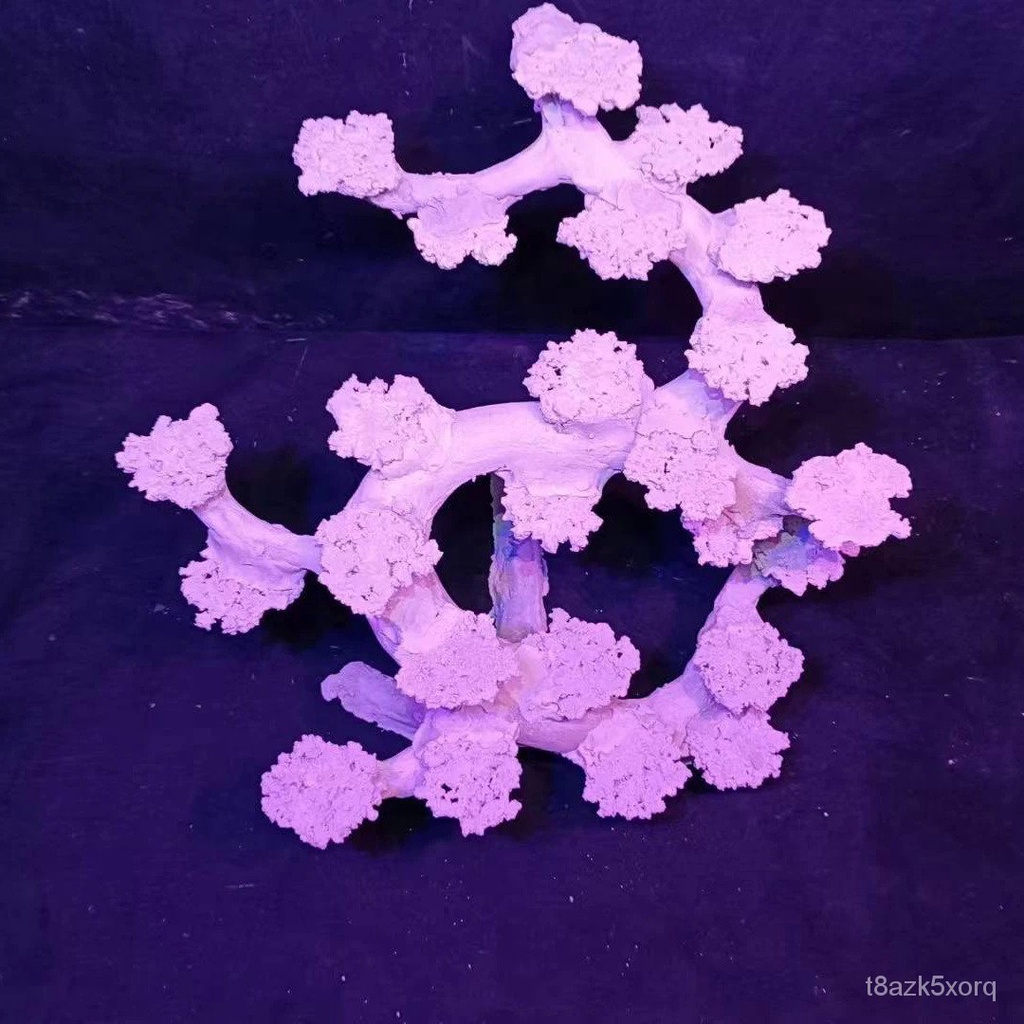 Beautiful view of Saltwater Reef Tank Decorative Rock Placement