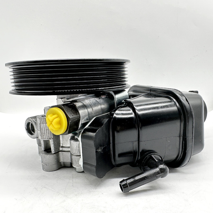 Auto Parts Hydraulic Power Steering Pump with Oilcan For Model 95048324 ...