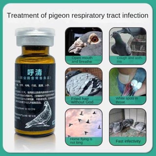 Pigeon Respiratory Tract Parrot Birds Cough Asthma Breathing ...