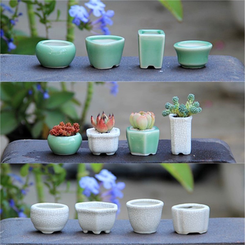 Micro Root Control Crack Basin Celadon Style Split Thumb Basin Mini ...