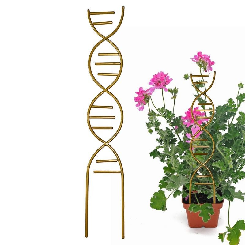 Plant Stakes For Indoor Plants Plant Support Trellises For Potted ...