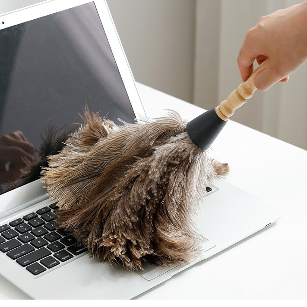Feather Duster Cleaning Tool Cleaner Wooden Hand Duster Ostrich Feather ...