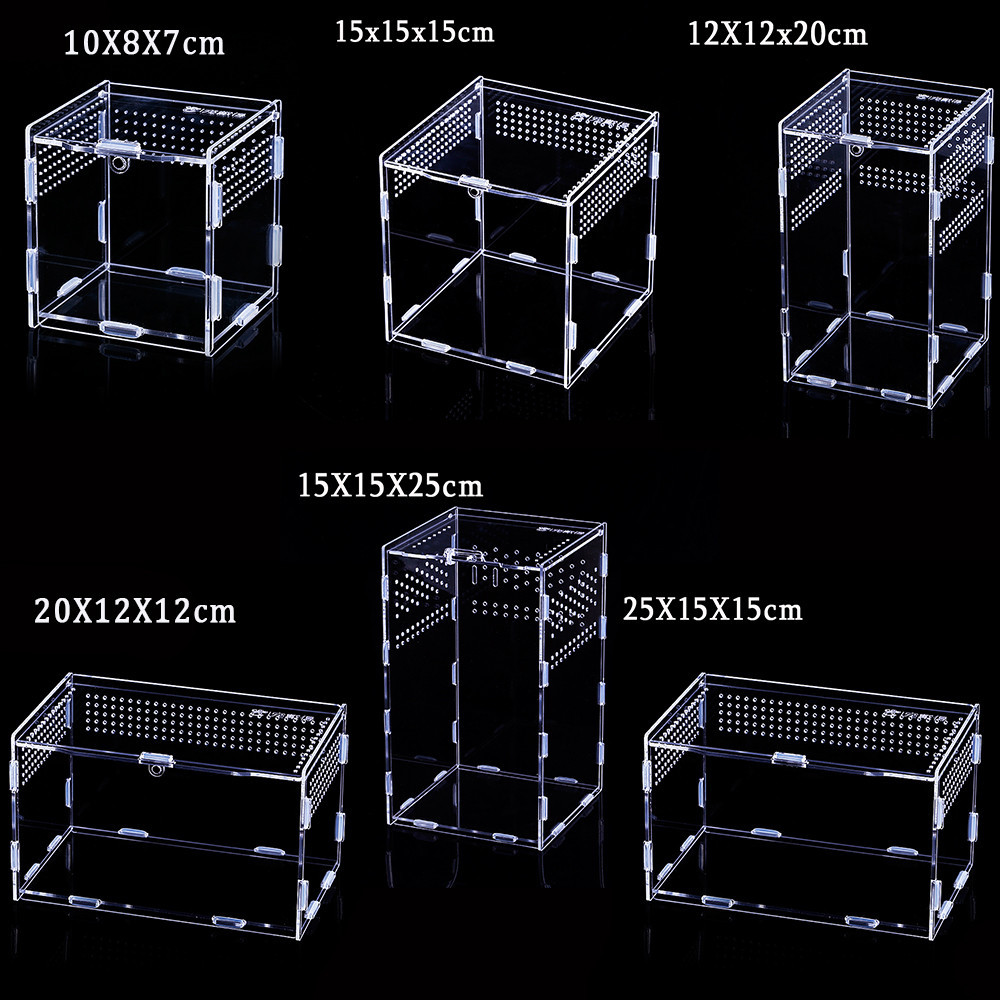 Transparent Hatcher Container Lizard Feeding Box Snakes Hatching ...
