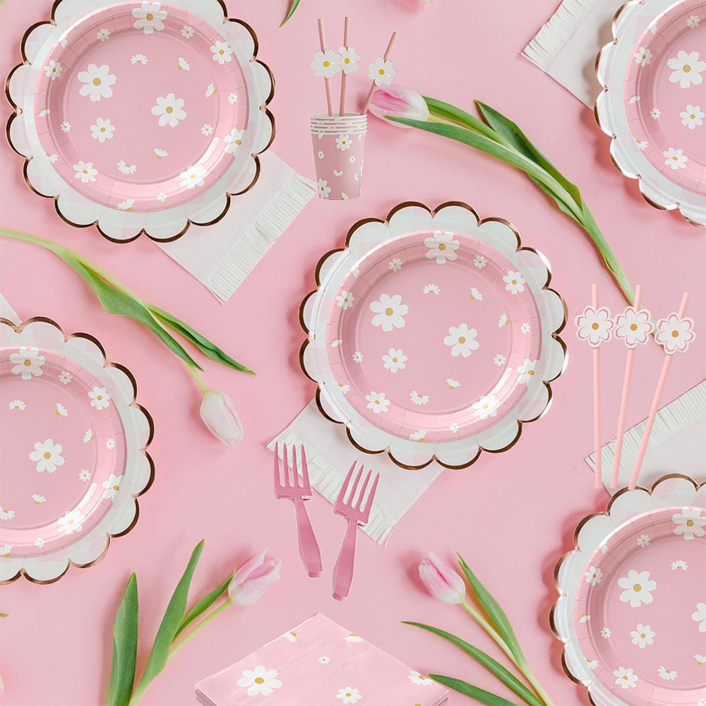 Daisy Themed Birthday Party Decoration Pink Daisy Paper Disposable ...