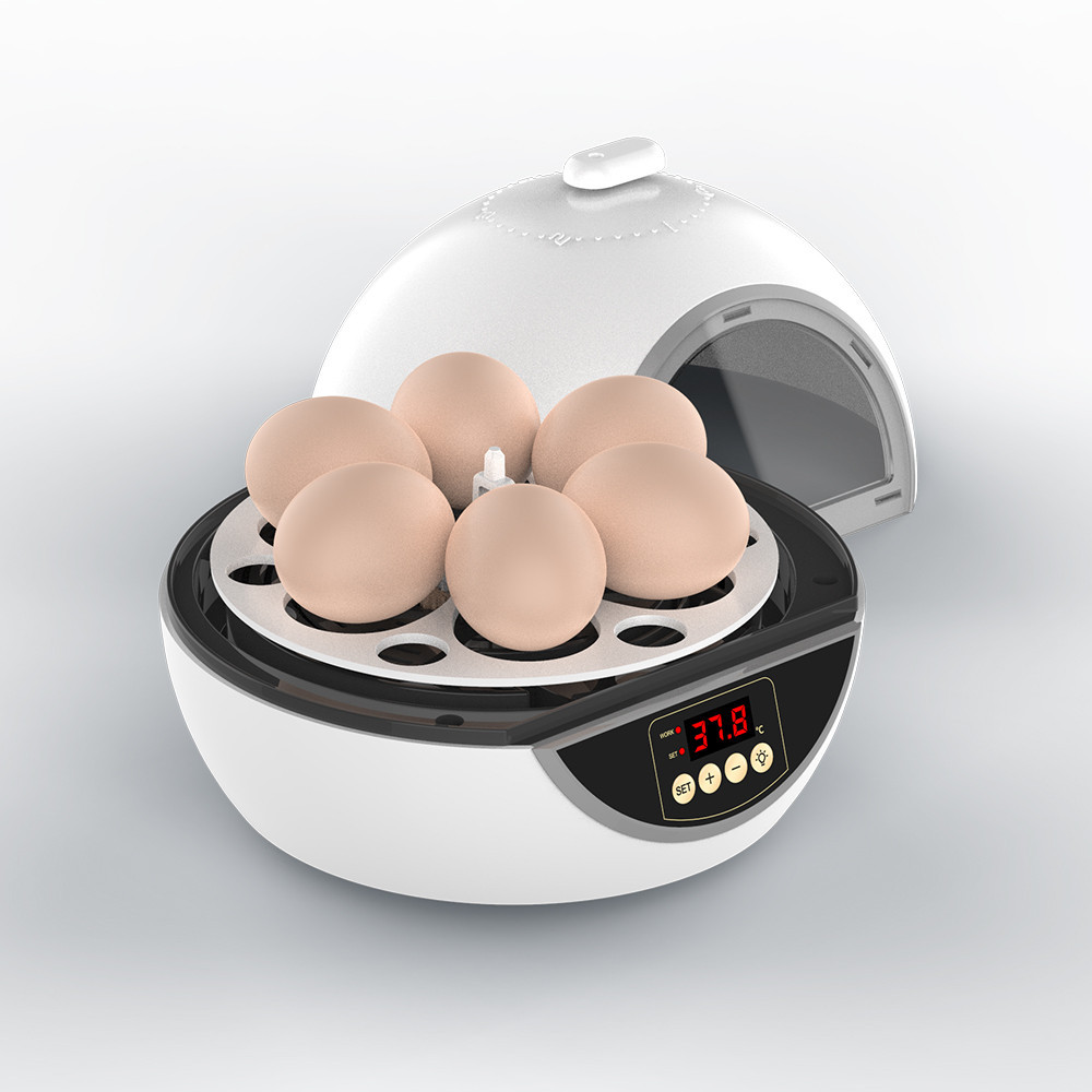 【110/220V Brooder Eggs Incubator Fully Automatic Temp Controller