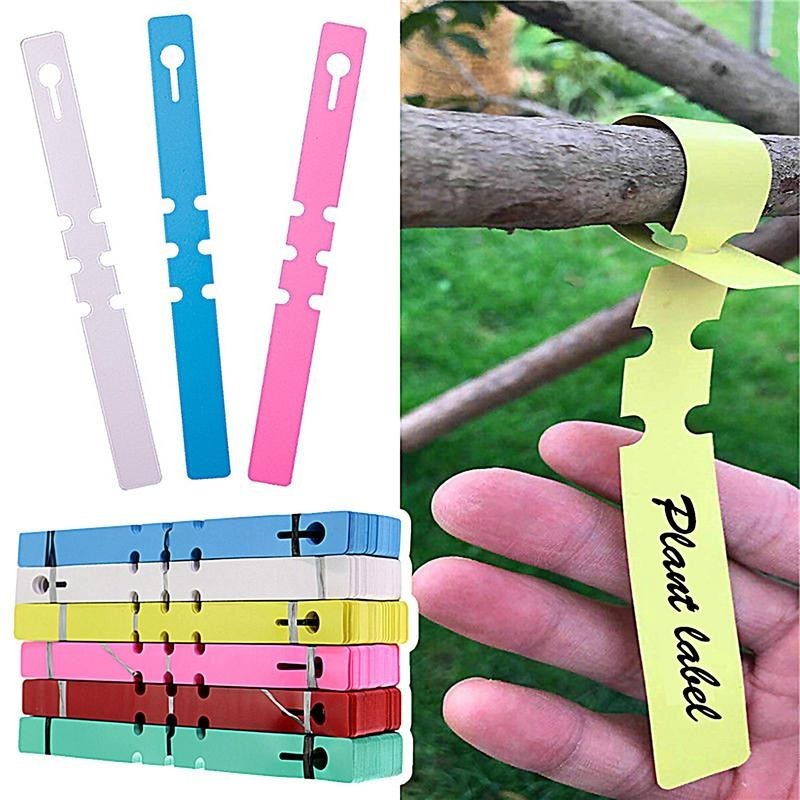 100pcs Plant Labels Nursery Markers Seedling Label Garden Hang Tags ...