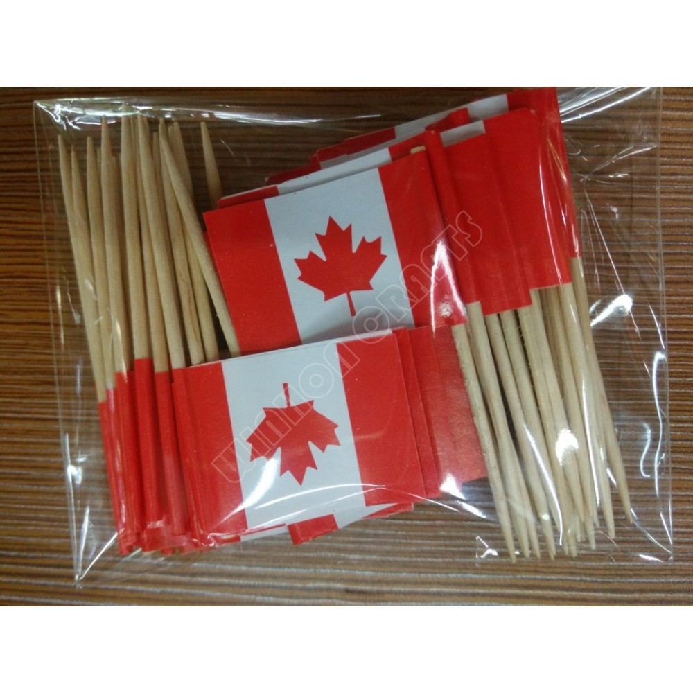 Mini Canada Toothpick Flags 500Pcs Paper Food Picks Cake Toothpicks ...