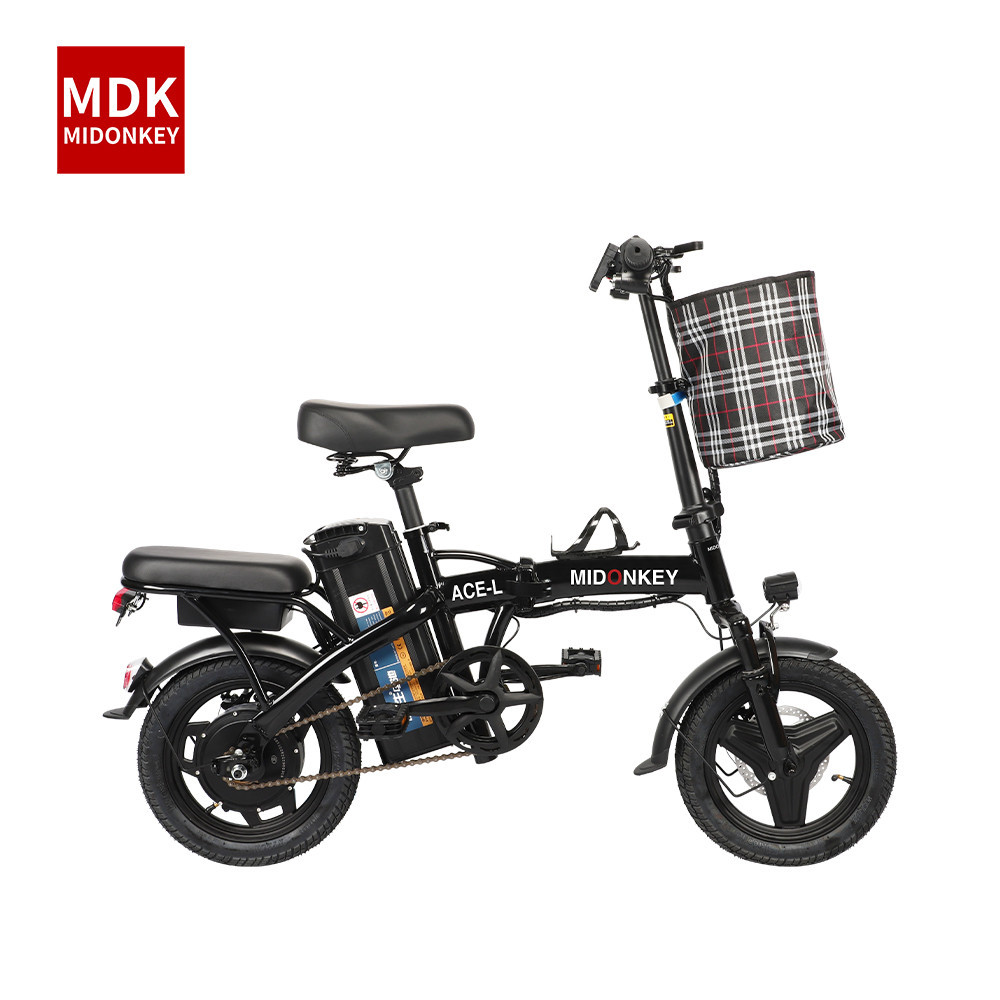 motorized trike bike