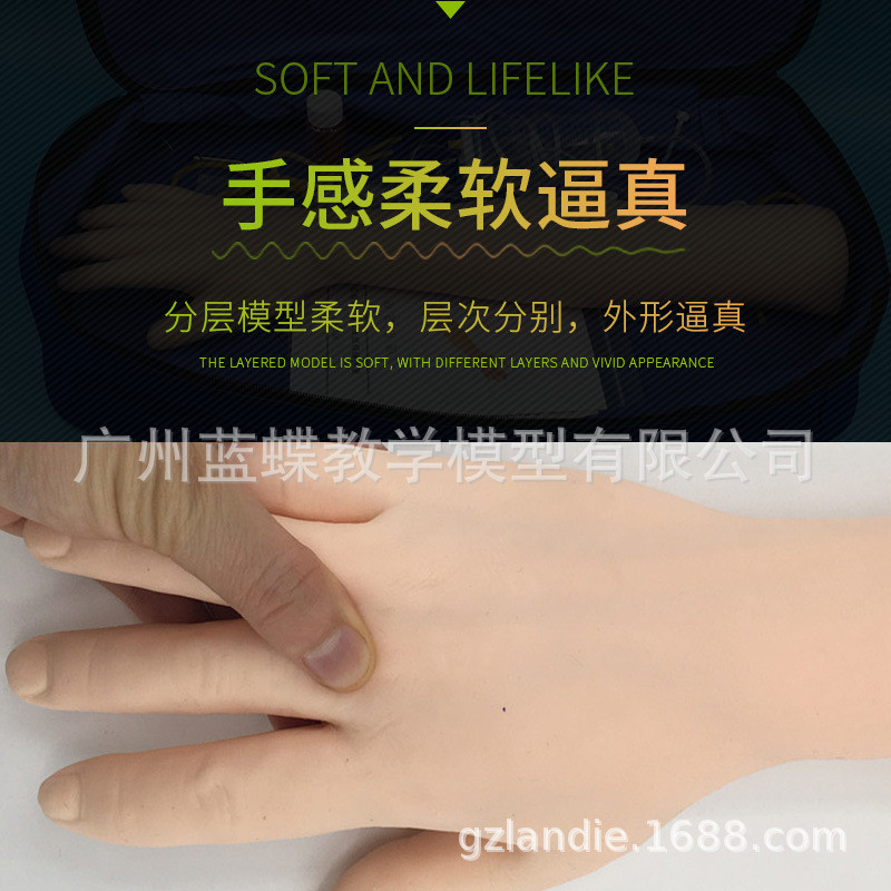 Venous Puncture Infusion Intramuscular Injection Training Arm Model ...