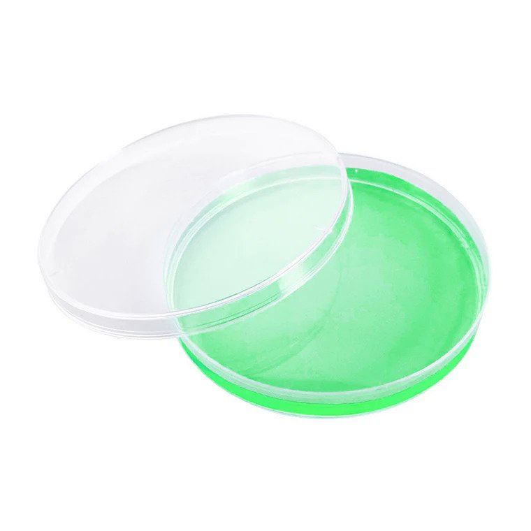 Cell culture plate wholesale disposable plastic 90mm sterile