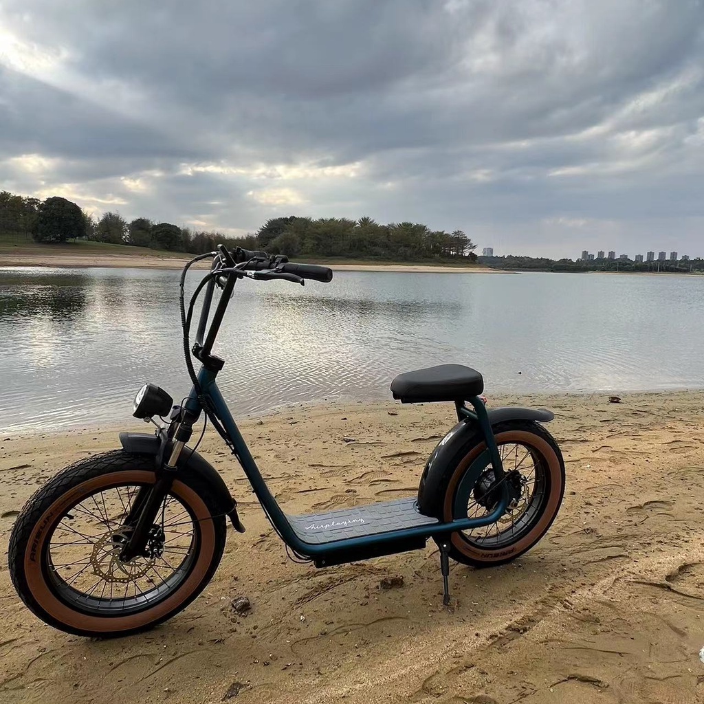 1000W 15.6ah 20 Inch Electric Fat Tire Hybrid Bike 48V Full Suspension Shopee Philippines