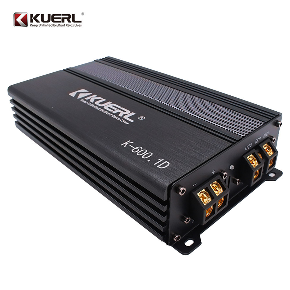 New model 1 channel digital power auto amplifier 600W monoblock class D