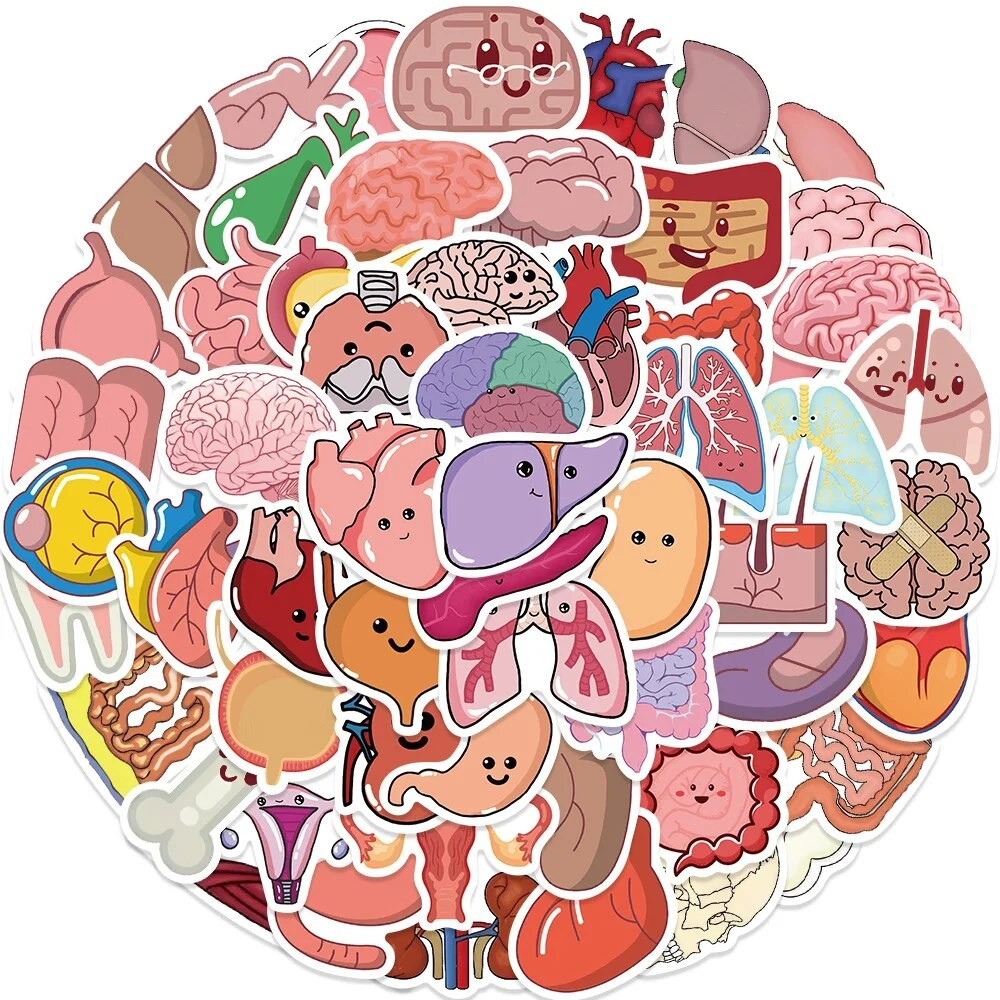 ☺65Pcs Cartoon Human Body Organ Stickers Waterproof Sticker Anatomy Map ...