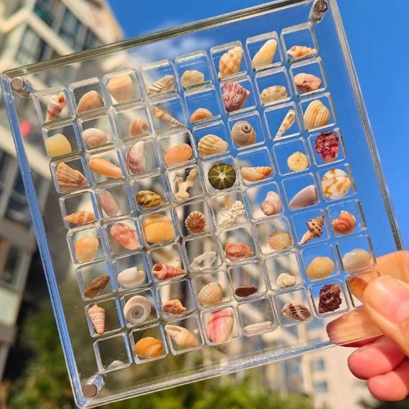 유Convenient Acrylic Shell Storage Box Craft Organizer Box Acrylic ...