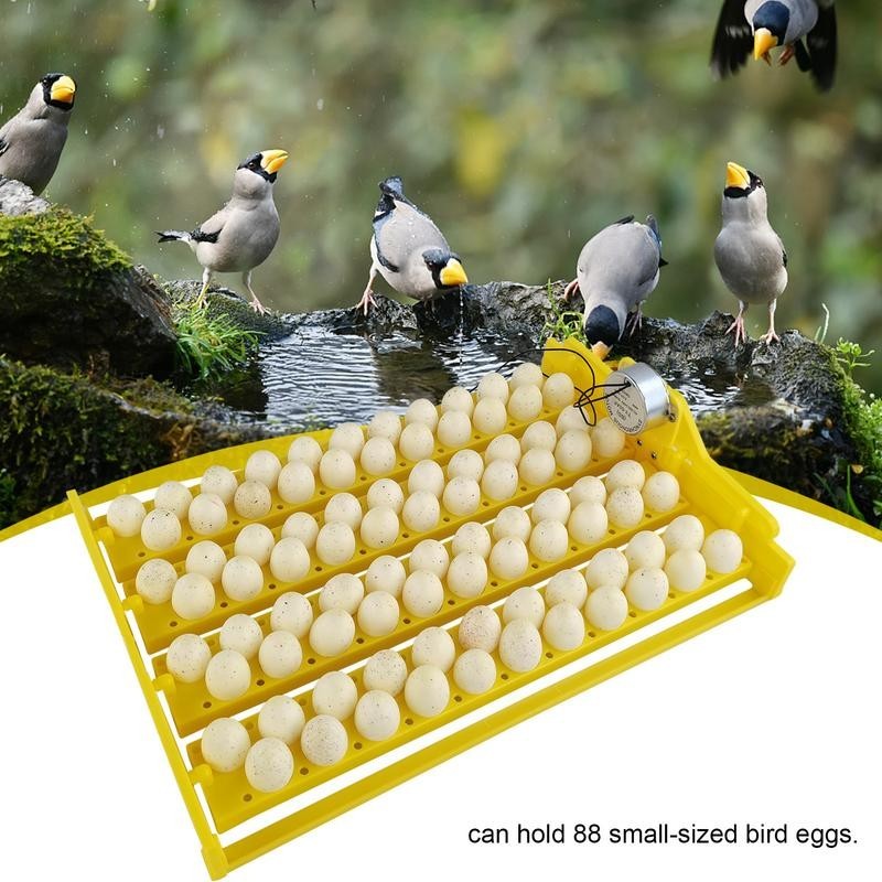 Eggs Incubator Trays Automatic Chicken & Duck Hatcher Trays Automatic ...
