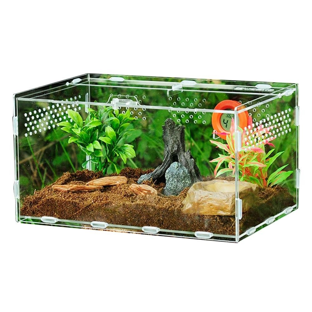 Acrylic Reptile Box For Spiders Tortoise Lizard Breeding Insect Box ...