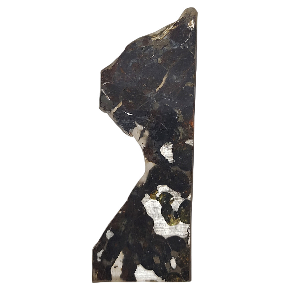 Brenham Olive Meteorite Slice Olive Meteorite Specimen Natural ...