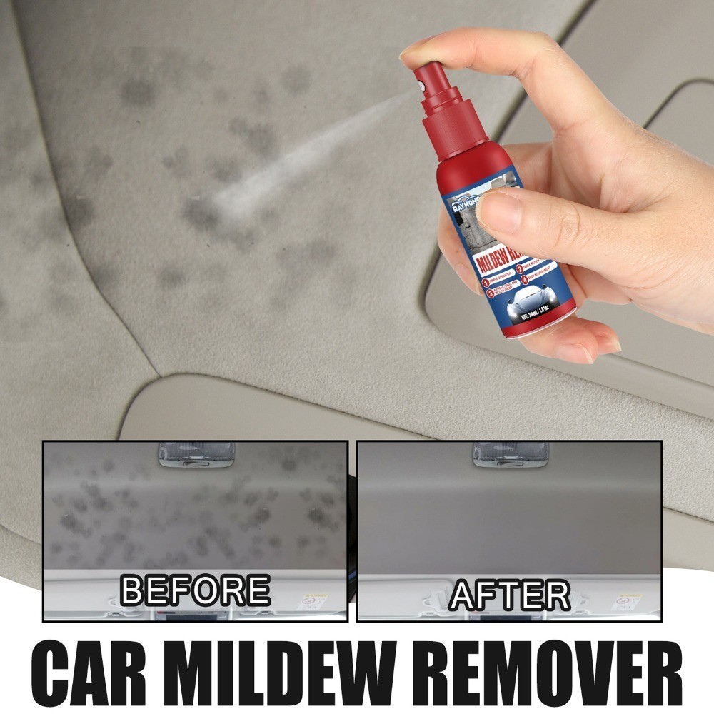 Find and Fix the Moisture Source First