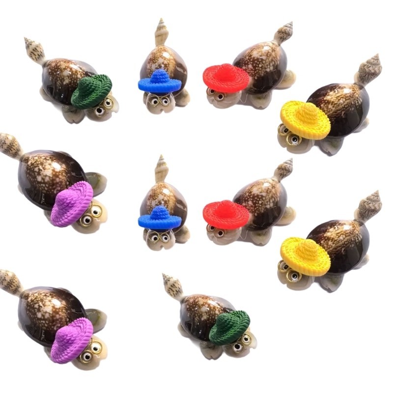 10Pcs Miniature Conch Turtles Figure Toy with Cute Colorful Hat Sea ...